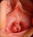 View Puss Orgasm Closeup